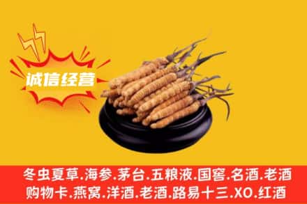 巴音郭楞州和硕县回收冬虫夏草